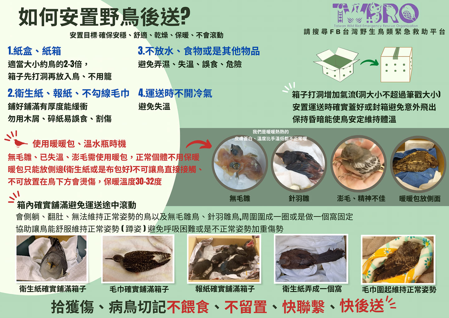 遇到受傷的鳥兒怎麼辦？