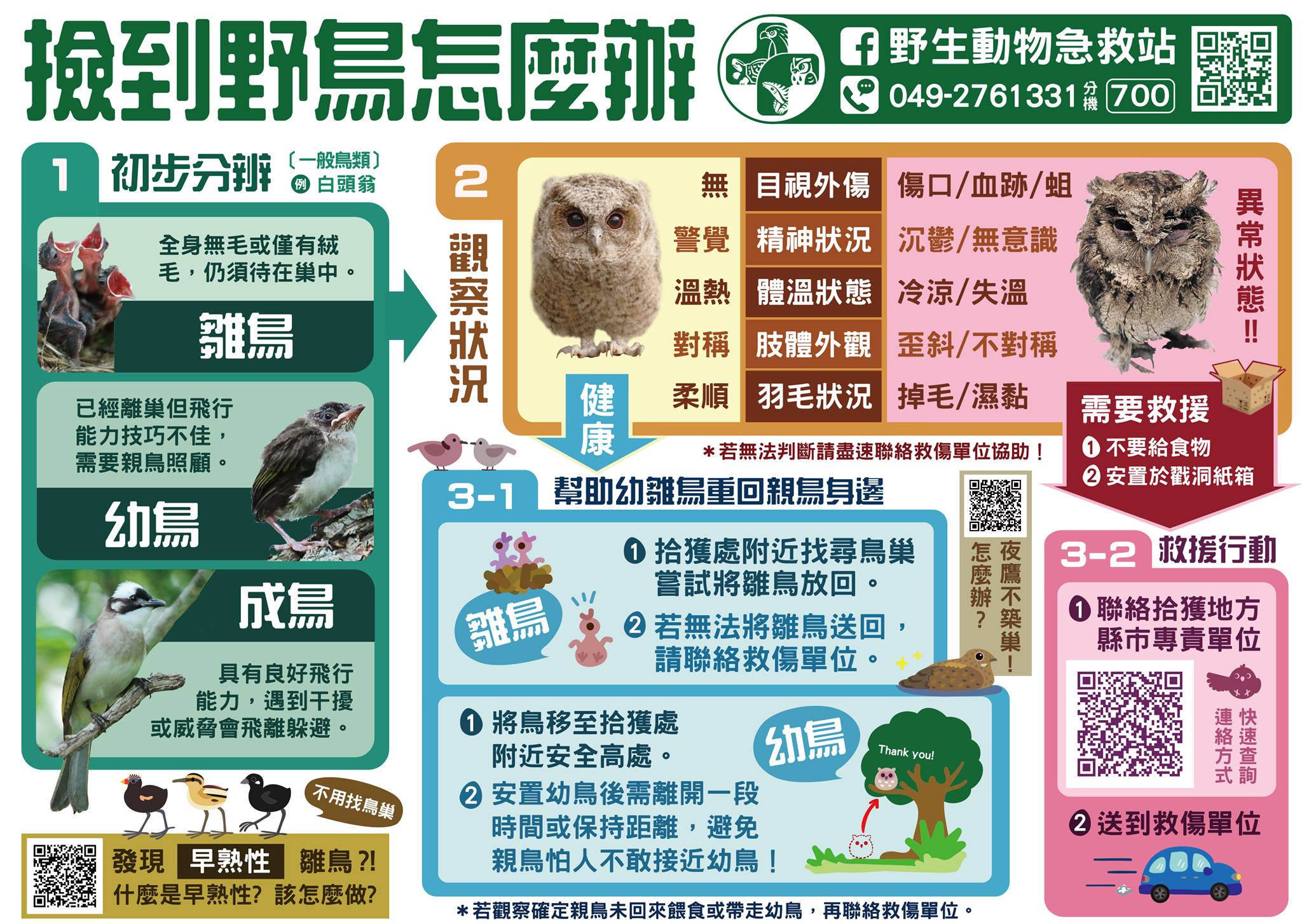 如何安置受傷的野鳥